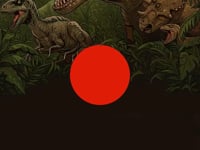Animated invitation preview